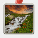 Search for poppies christmas tree decorations Nature