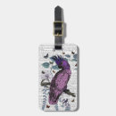 Search for parrots accessories Steampunk