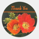 Search for desert flowers stickers Southwest