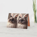 Search for funny cat easter cards Rabbit