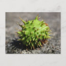 Search for iphones postcards Green