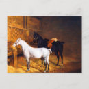 Search for stable postcards Equestrian