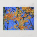 Search for fall leaves design postcards Pattern