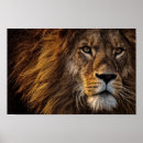 Search for lion face posters Animals
