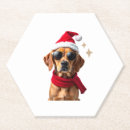 Search for funny dog coasters Puppy