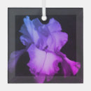 Search for iris christmas tree decorations Floral