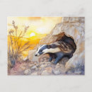 Search for badgers postcards Illustration