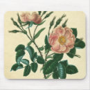 Search for antique rose mousepads Flowers
