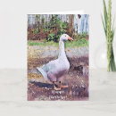 Search for geese cards Birds