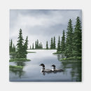 Search for loons magnets Animals