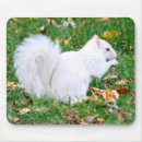 Search for albino mousepads White