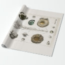 Search for fossil wrapping paper Vintage
