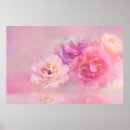 Search for carnation posters Flowers