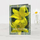 Search for hemerocallis cards Flower