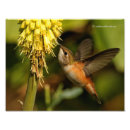 Search for nectar posters Wildlife