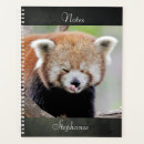 Search for panda office supplies Cute