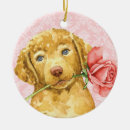 Search for chesapeake bay christmas tree decorations Chessie