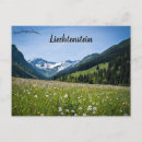 Search for weeds horizontal postcards Meadow