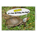 Search for funny turtles cards Wildlife