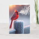 Search for red cardinal birthday cards Winter