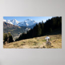 Search for mountain biker posters Downhill