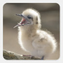 Search for hawaiian island stickers Cute