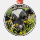 Search for cute cow christmas tree decorations Calf
