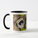 Search for macros mugs Outdoors