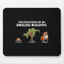 Search for evolution of mousepads English