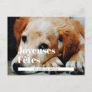 Search for carte postale cards Joyeux noël