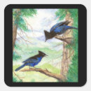 Search for stellar stickers Nature