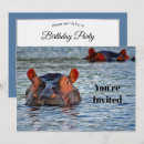 Search for hippo invitations Wildlife