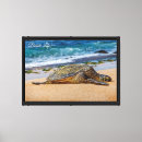 Search for sea turtle canvas prints Honu