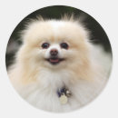 Search for headshot stickers Panting