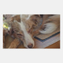 Search for australian shepherd puppy stickers Miniature