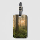 Search for rain forest accessories Landscape