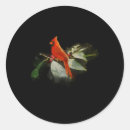 Search for wild birds stickers Red bird