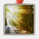 Search for transportation christmas tree decorations Nature