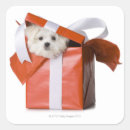Search for picture camera stickers Photography