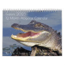 Search for alligator calendars Animals