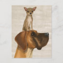 Search for dane postcards Chihuahua