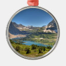 Search for montana christmas tree decorations nature