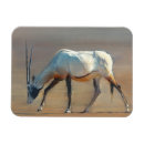Search for 2010 magnets Wild animal