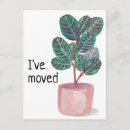 Search for prayer invitations Botanical