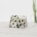 Search for bouquet note cards Butterfly