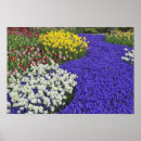Search for hyacinthe posters European