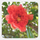 Search for pomegranate stickers Red