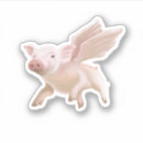 Search for when pigs fly stickers Pink