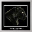 Search for black panther art Puma