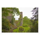 Search for blarney stone art Castle